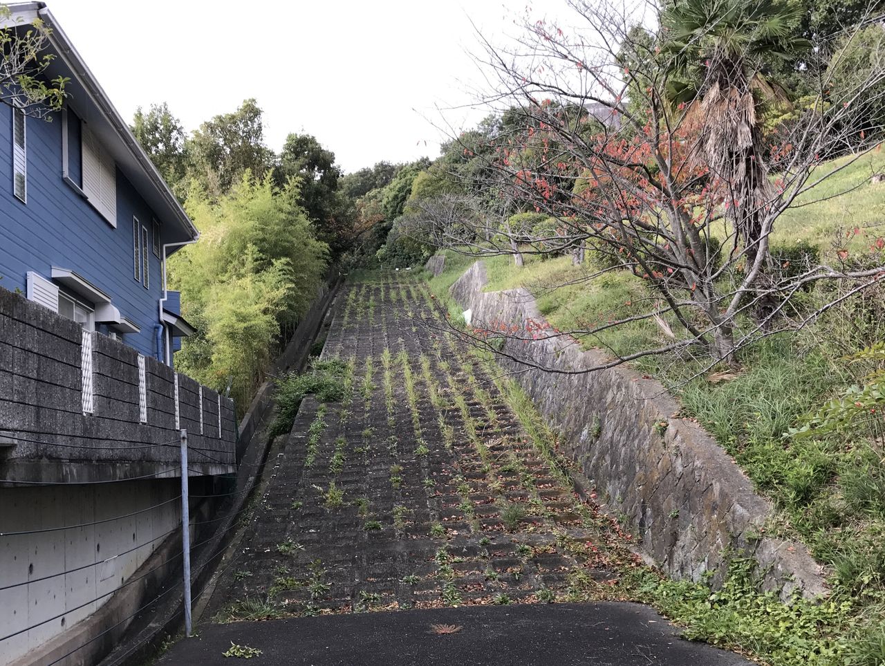 タンク 山 チョコレート 階段 Lakaih タンク 山 チョコレート 階段 Lakaih