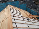 DSCN1335