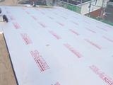 DSCN0995