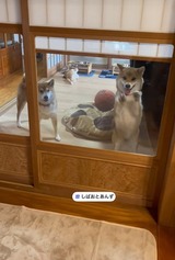 6977cbdadf46b27ca7c82b6832375e2b