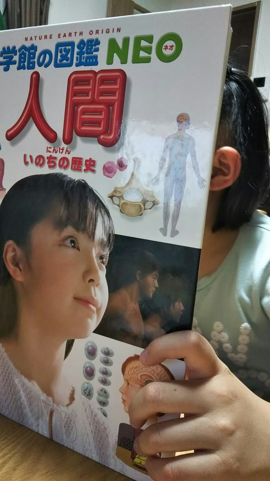 愛読書 小学舘の図鑑 Neo 人間 おけいこスペース Comきものと猫のblog 愛読書 小学舘の図鑑 Neo 人間 おけいこスペース Comきものと猫のblog