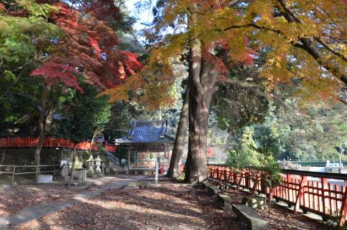 請田神社 紅葉 保津川リバーサイド 請田神社 紅葉 保津川リバーサイド