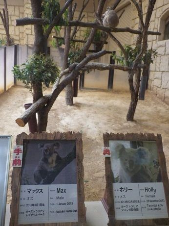 東山動物園 ヤモリといっしょ 東山動物園 ヤモリといっしょ