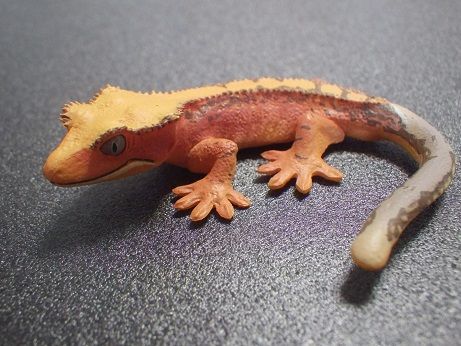 ヤモリ大全Ⅱ クレステッドゲッコー : ヤモリといっしょ