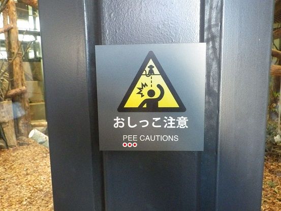 円山動物園見てきました ヤモリといっしょ