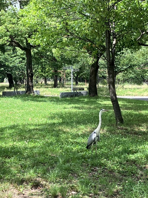 4B1E0D10-BB30-4A1B-A1E1-D75C5B38B9E8