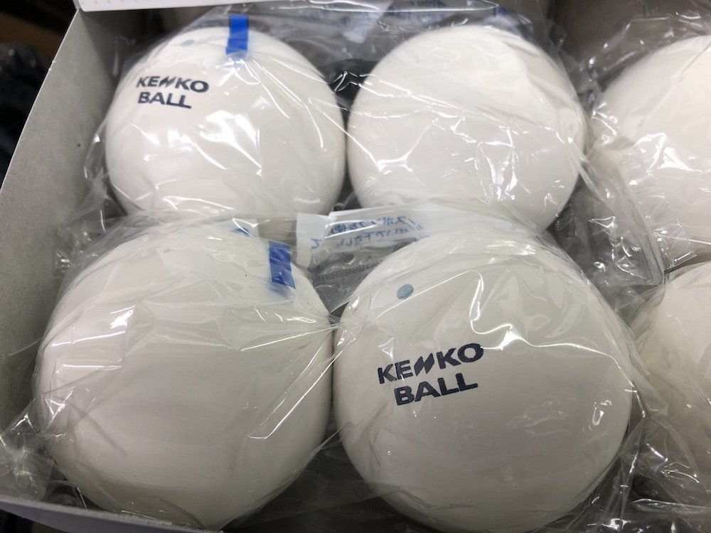ゆるっとオキブロ 軟 庭 魂 ナガセケンコー Kenko
