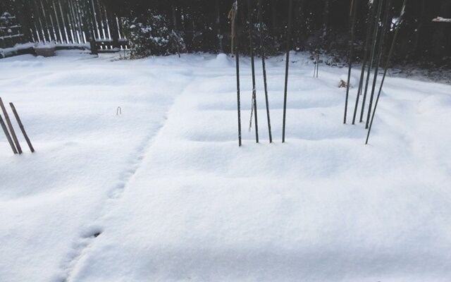大晦日は白銀の世界 定年生活