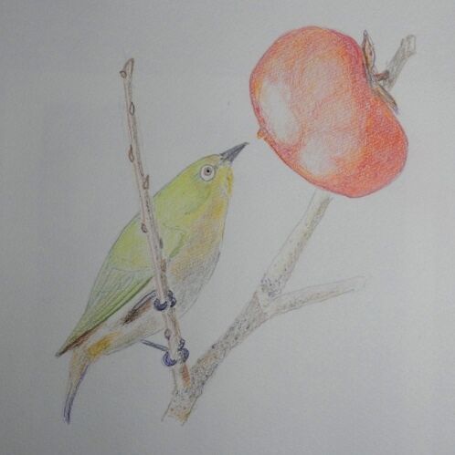 趣味の絵 目白 定年生活