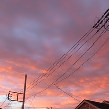 ������������ (36)