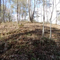 220106 山野草のエキ (31)