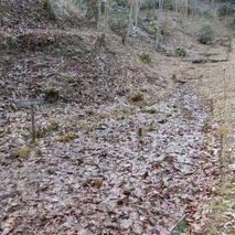 220106 山野草のエキ (26)