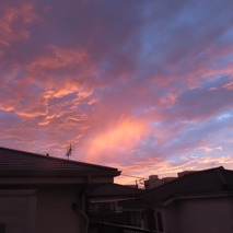 ������������ (37)
