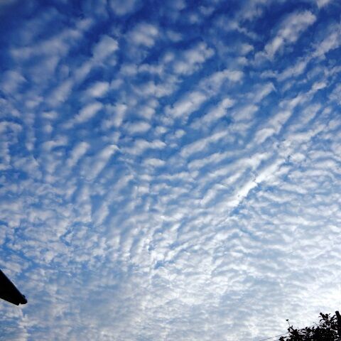 うろこ雲と思っていたが鯖雲 定年生活 うろこ雲と思っていたが鯖雲 定年生活