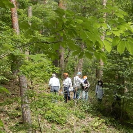 200603 山野草のエキ ボランティア (12)
