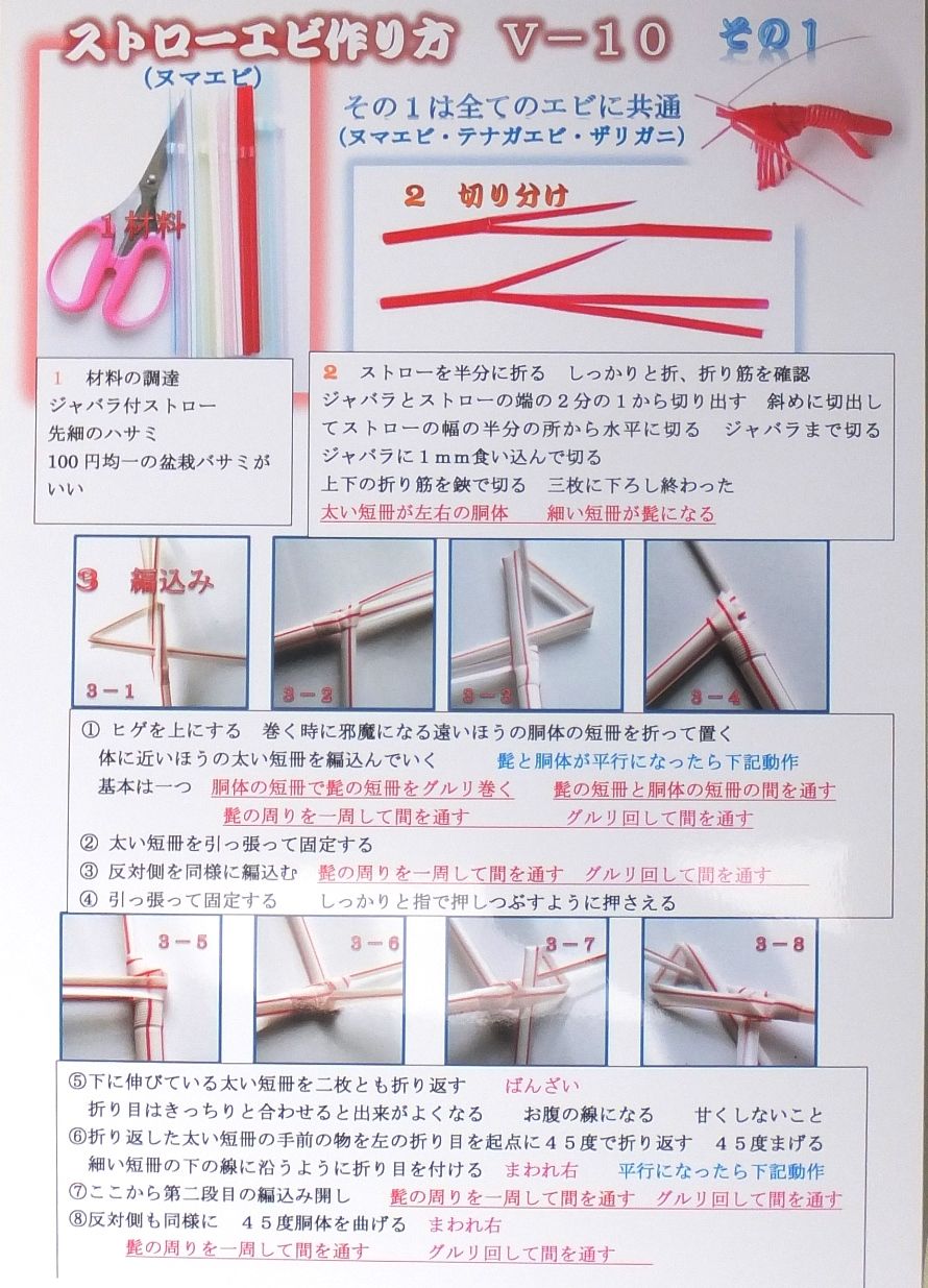 ストローエビのマニュアル更新 ｖ １０を出す 定年生活