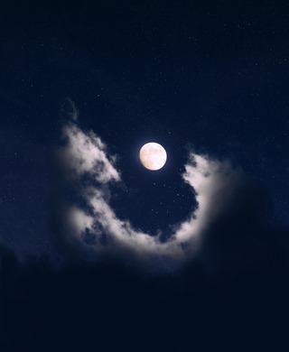 aron-visuals-LryOyGjm1bo-unsplash