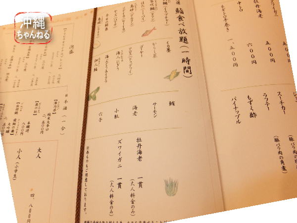 nikkou13