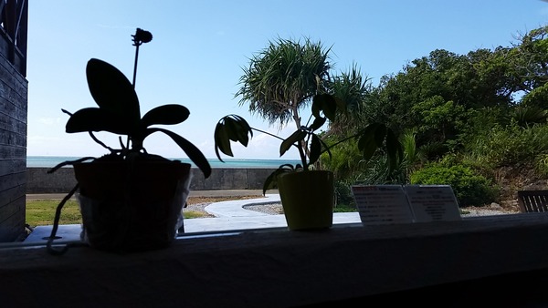 20140729_154301
