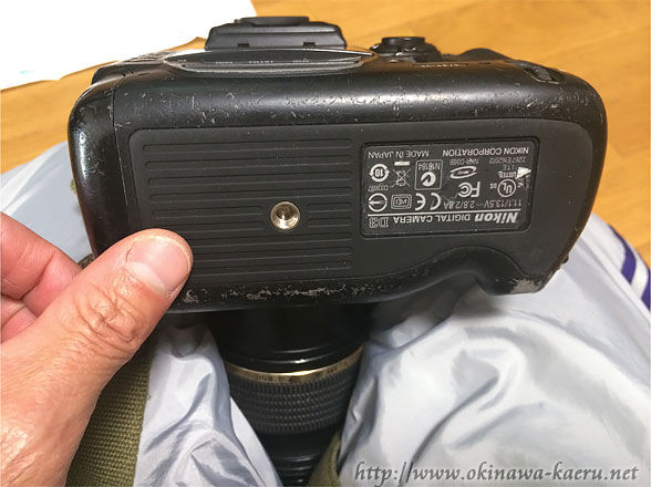 D3が修理完了 : おきなわカエル商会BLOG D3が修理完了 : おきなわカエル商会BLOG