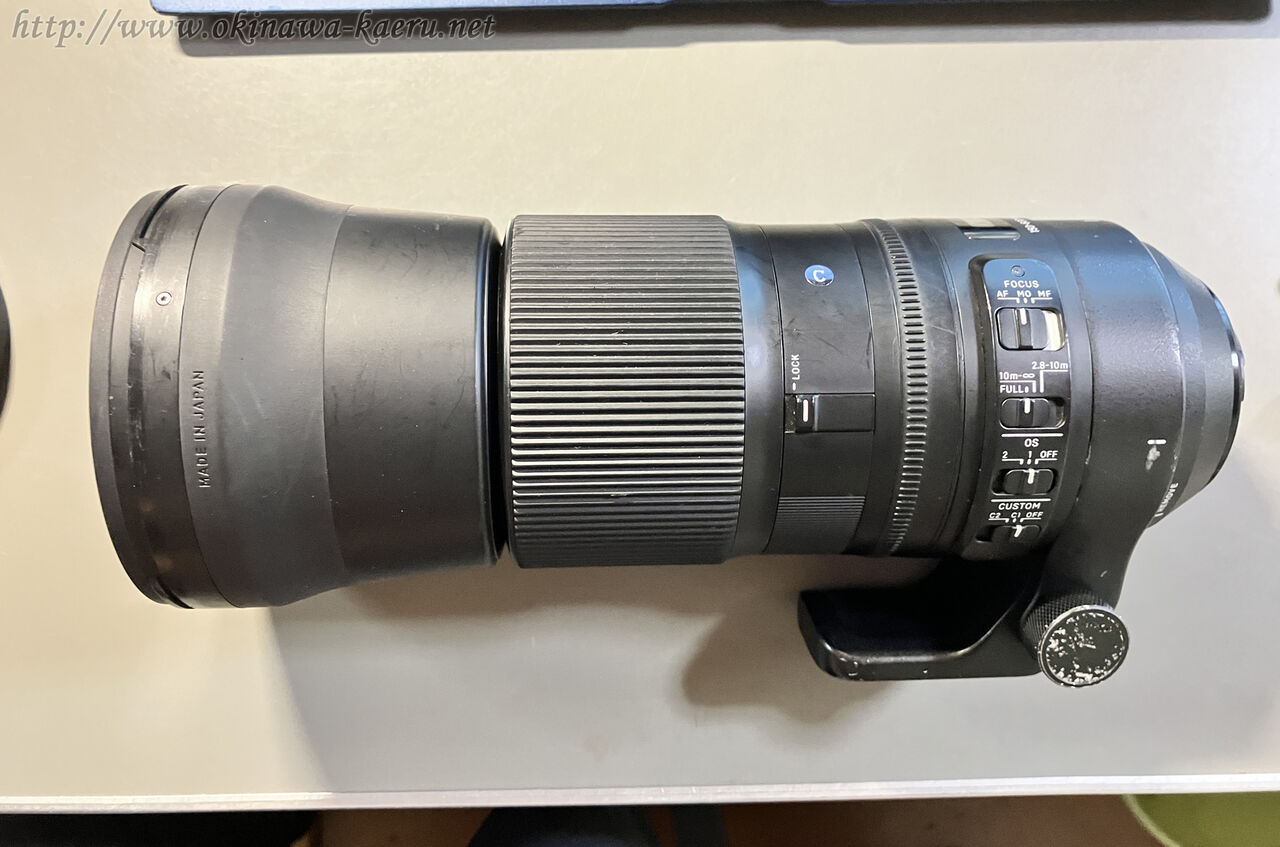 ニコンNIKKOR Z 180-600mm f/5.6-6.3 VRを導入 : おきなわカエル ニコンNIKKOR Z 180-600mm f/5.6-6.3 VRを導入 : おきなわカエル