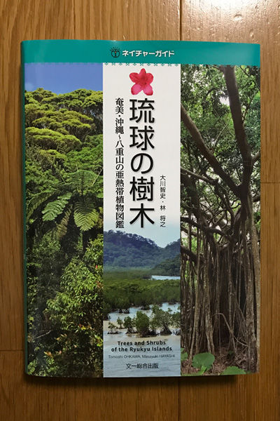 ネイチャーガイド 琉球の樹木 : おきなわカエル商会BLOG ネイチャーガイド 琉球の樹木 : おきなわカエル商会BLOG