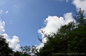 202309A秋晴れの空