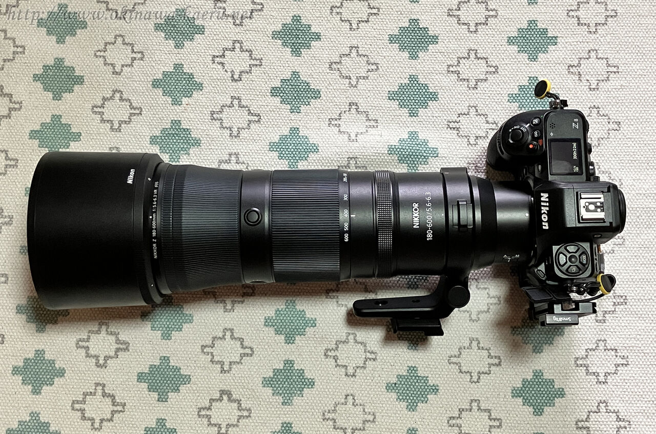 ニコンNIKKOR Z 180-600mm f/5.6-6.3 VRを導入 : おきなわカエル ニコンNIKKOR Z 180-600mm f/5.6-6.3 VRを導入 : おきなわカエル