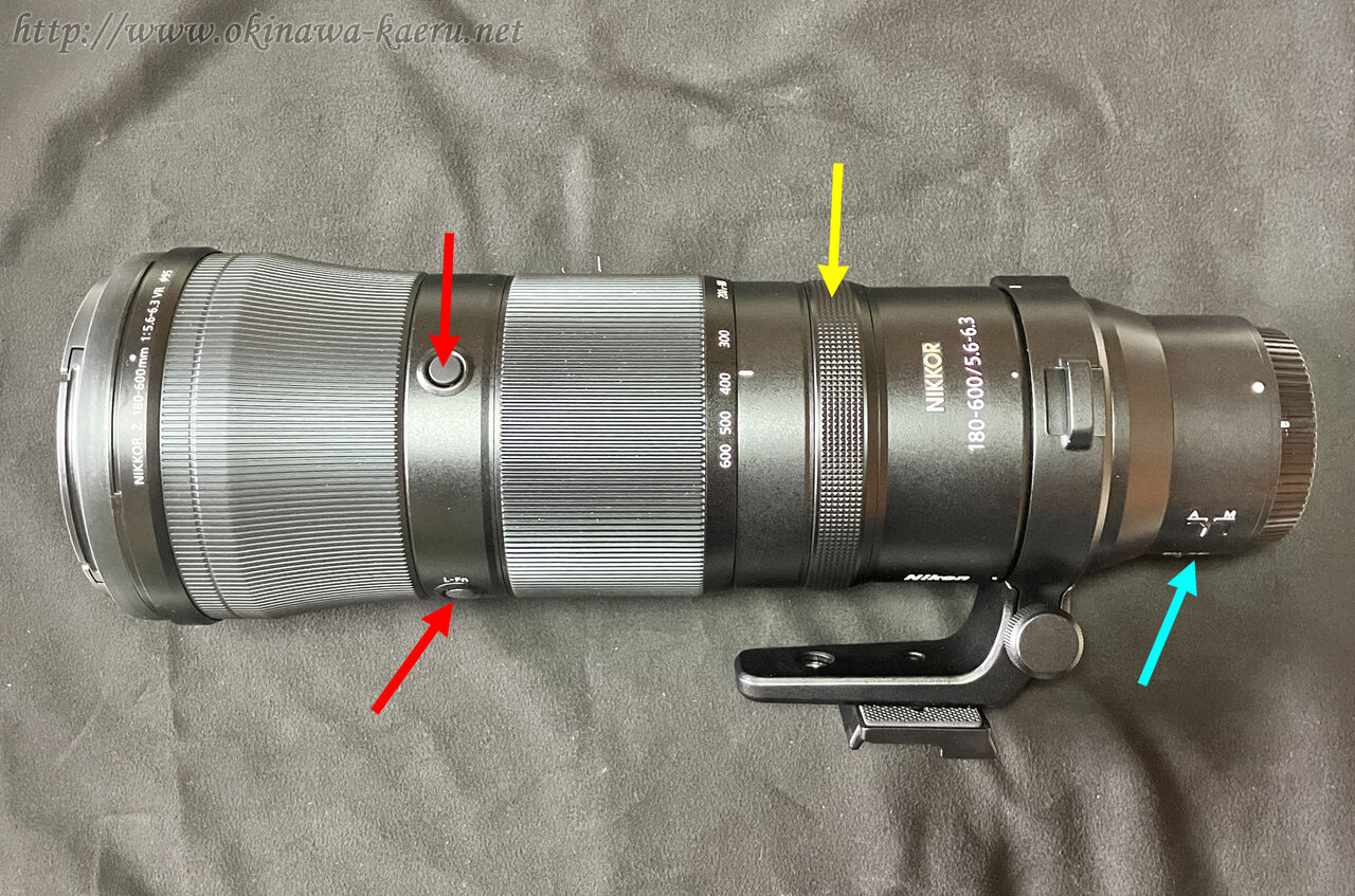 ニコンNIKKOR Z 180-600mm f/5.6-6.3 VRを導入 : おきなわカエル ニコンNIKKOR Z 180-600mm f/5.6-6.3 VRを導入 : おきなわカエル