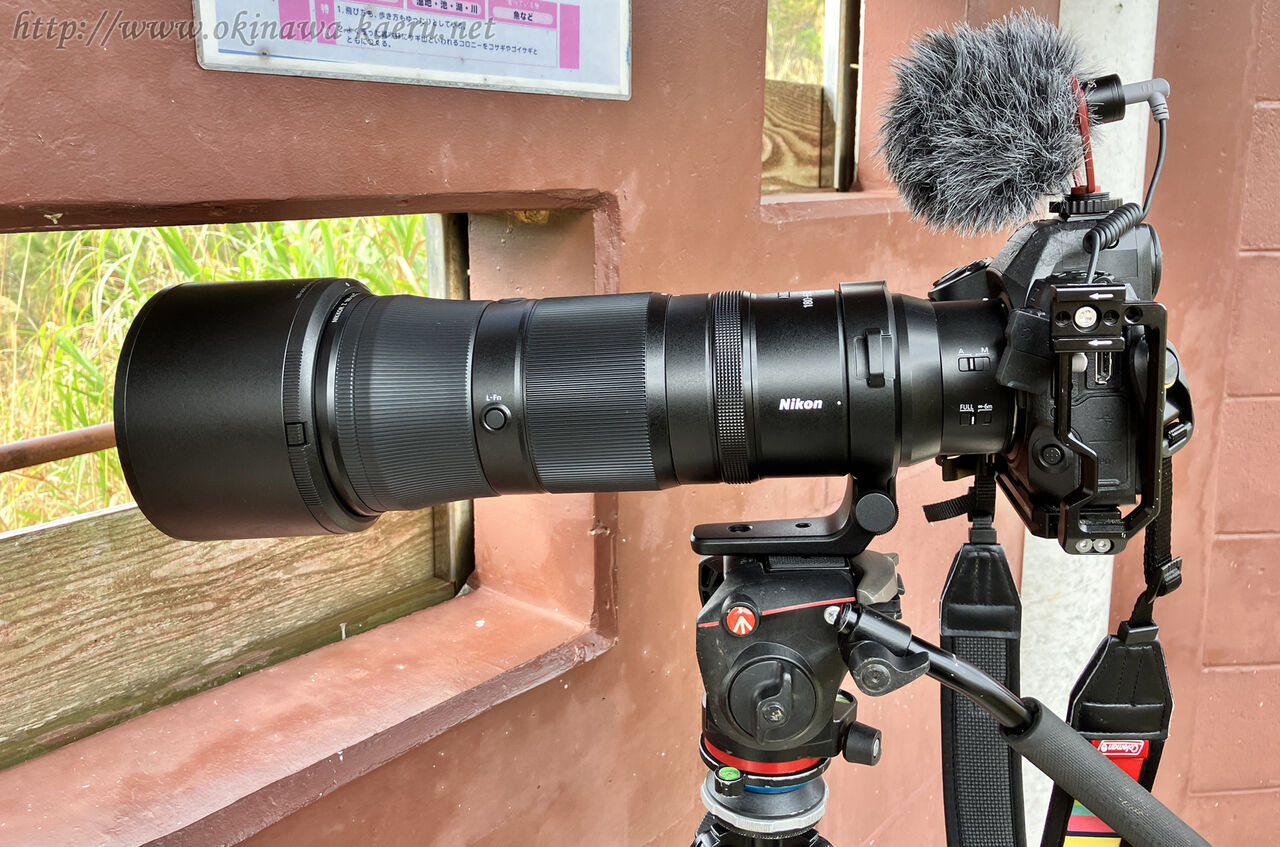ニコンNIKKOR Z 180-600mm f/5.6-6.3 VRを導入 : おきなわカエル ニコンNIKKOR Z 180-600mm f/5.6-6.3 VRを導入 : おきなわカエル