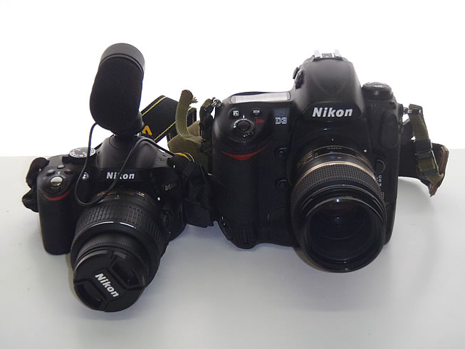 動画にチャレンジ D5100 : おきなわカエル商会BLOG 動画にチャレンジ D5100 : おきなわカエル商会BLOG