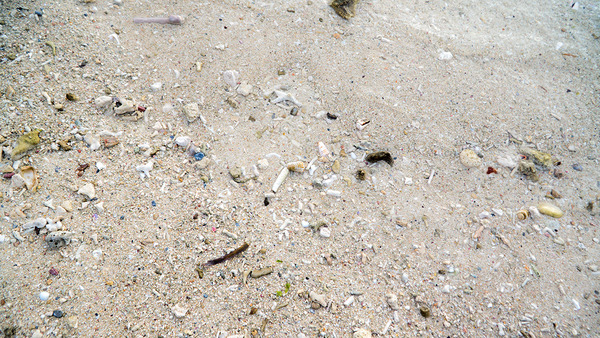 beachside_bise140817