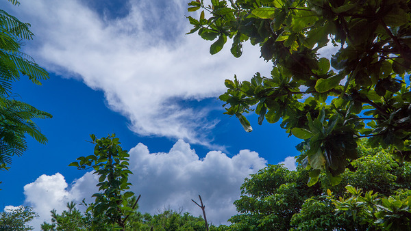 sky_dacholand