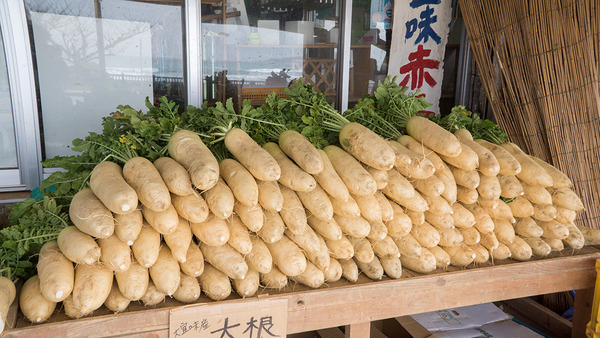 010oogimi_daikon_140414