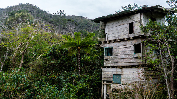 house2_tartaki