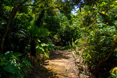 001road_karst