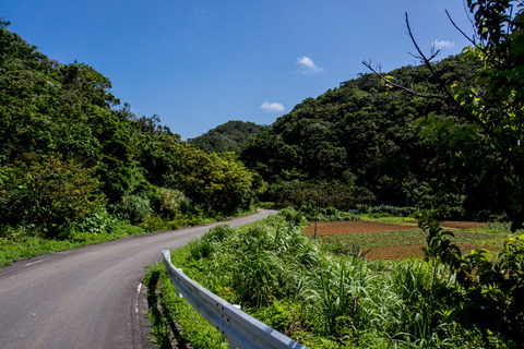 028road_karst
