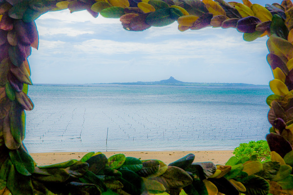 fukugi_frame_bise2014
