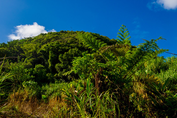 uragushiku_bridge_mt3_160920