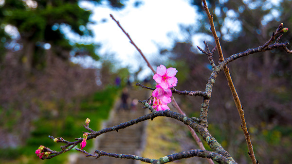 nakijinjo07_140107
