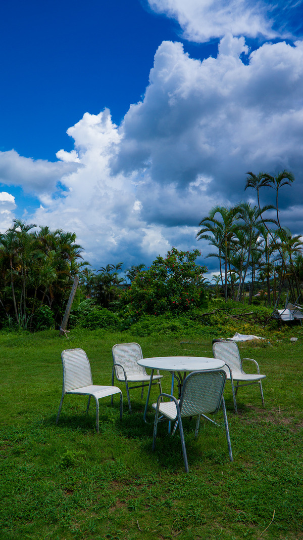 chair_dacholand
