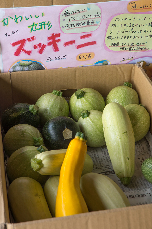 zukkini_oogimi