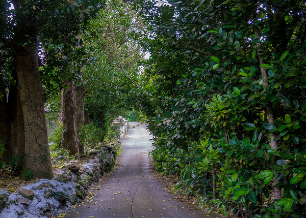 avenue_puta