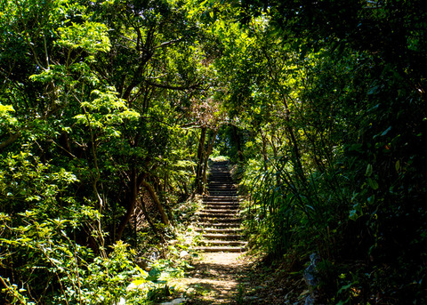 008stairs_shadow_karst
