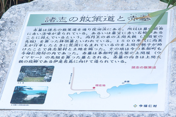 akabaka_info_141121gushiku
