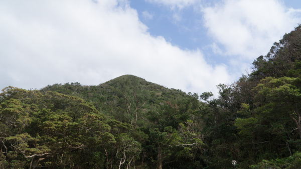 miramui2_141016