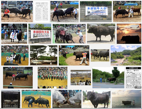 togyu13google_guhikumui130323