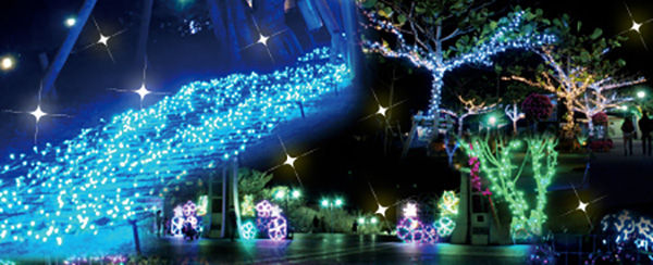 churaumi_illumination