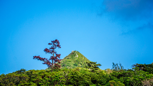 motobufuji_141121