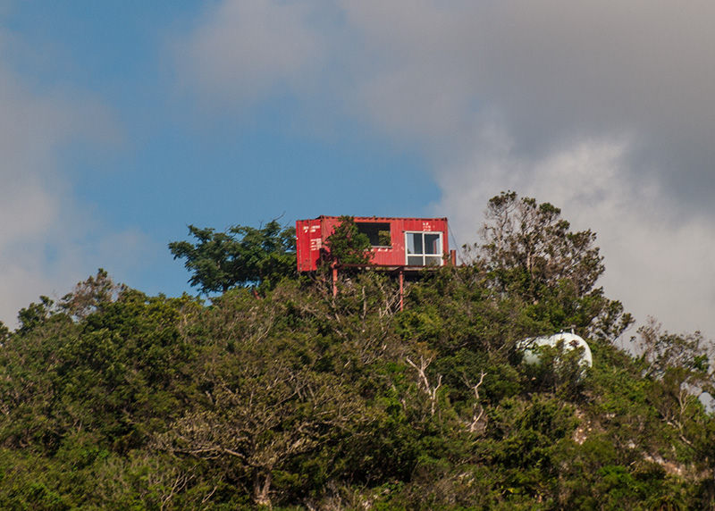山の上のコンテナハウス とホウオウボク Terrace Gushiku Mui Peacefulブログ